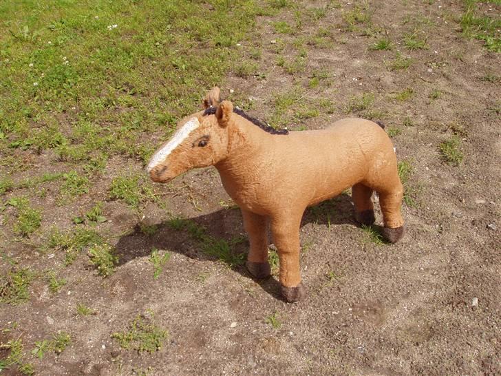 Vores ferie på "nissebo" :) - En af min lillesøsters heste - her en lidt mindre levende en, som er kommet på fold, hot plot ;) billede 42