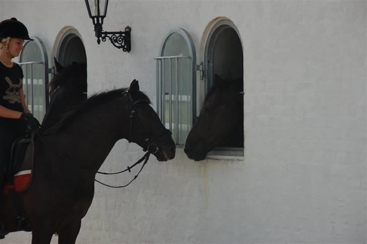 Min lille Banditte<3 billede 4