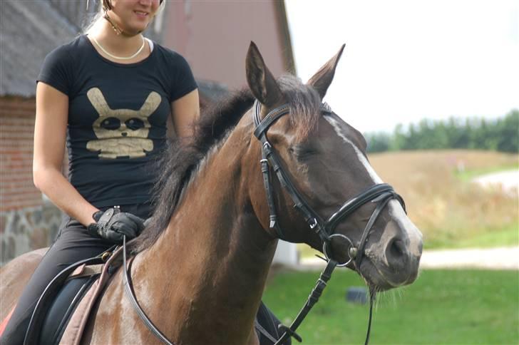 Min lille Banditte<3 billede 11