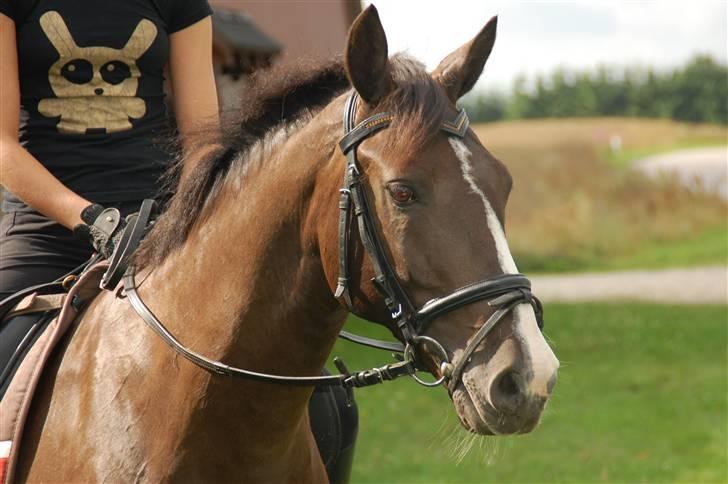 Min lille Banditte<3 billede 12