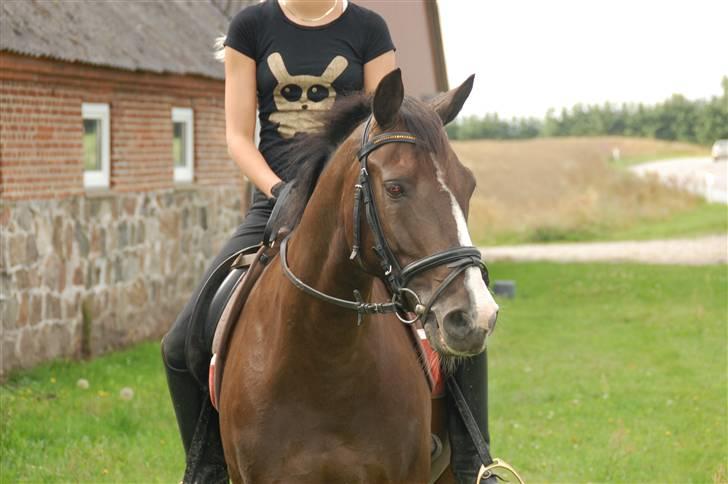 Min lille Banditte<3 billede 13