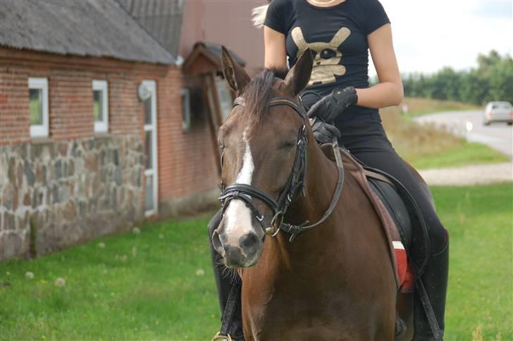 Min lille Banditte<3 billede 14