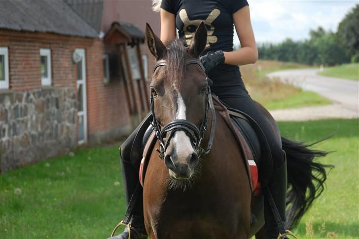 Min lille Banditte<3 billede 15