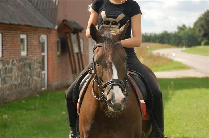 Min lille Banditte<3 billede 16