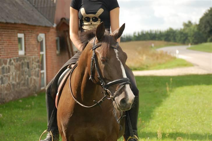 Min lille Banditte<3 billede 17