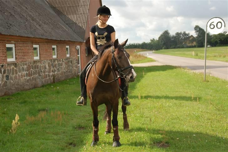 Min lille Banditte<3 billede 18