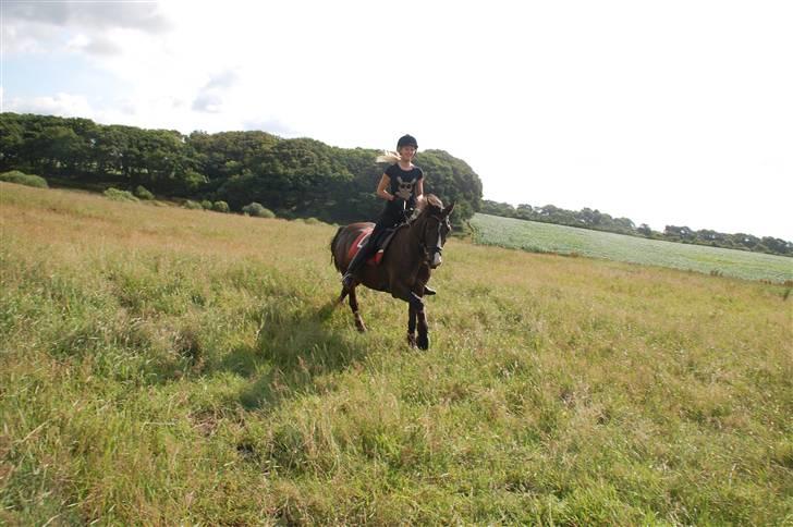 Min lille Banditte<3 billede 33