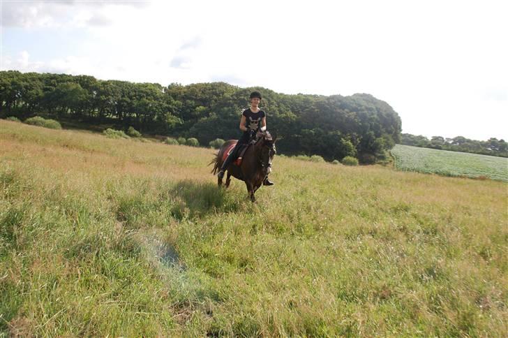 Min lille Banditte<3 billede 34