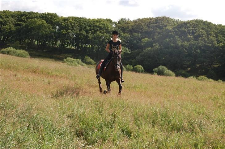 Min lille Banditte<3 billede 36