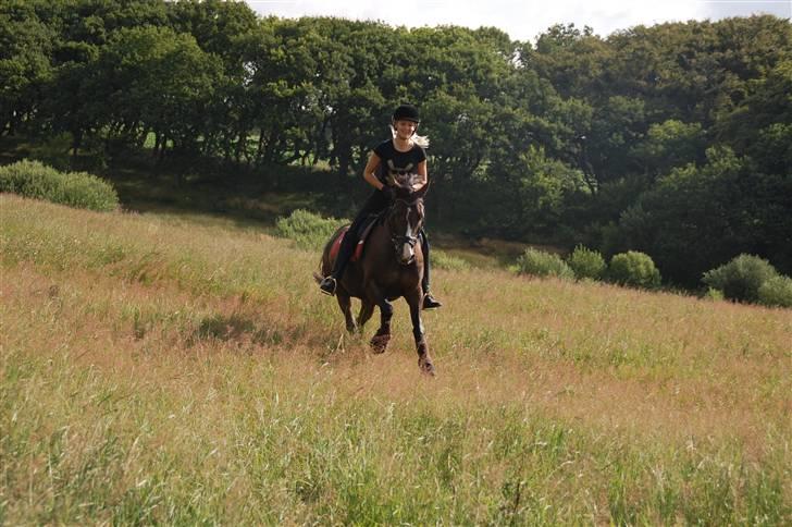 Min lille Banditte<3 billede 37