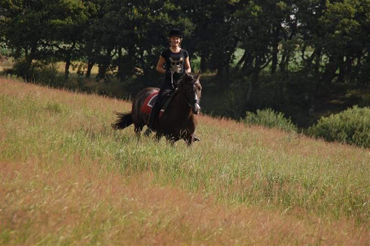 Min lille Banditte<3 billede 44