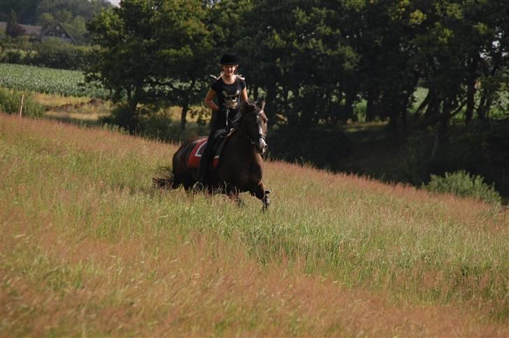 Min lille Banditte<3 billede 45