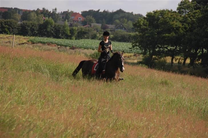 Min lille Banditte<3 billede 46