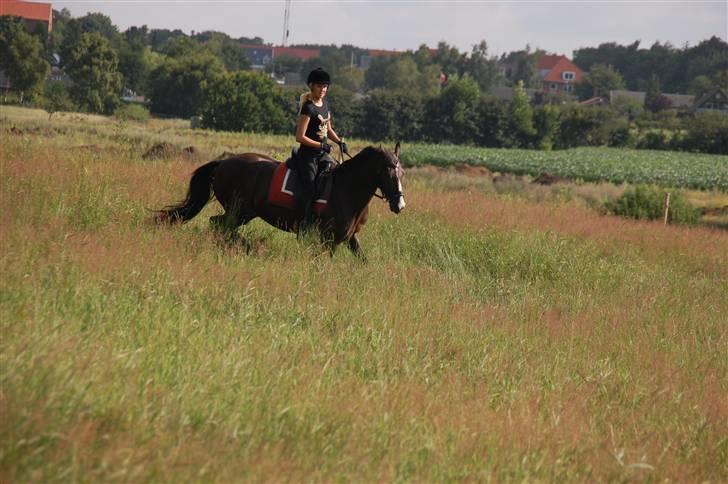 Min lille Banditte<3 billede 47