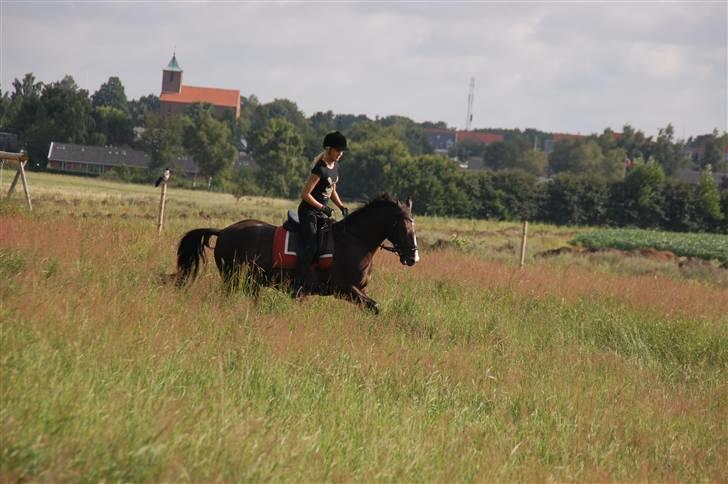 Min lille Banditte<3 billede 48