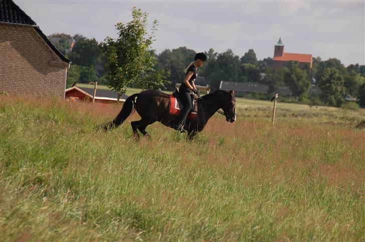 Min lille Banditte<3 billede 49