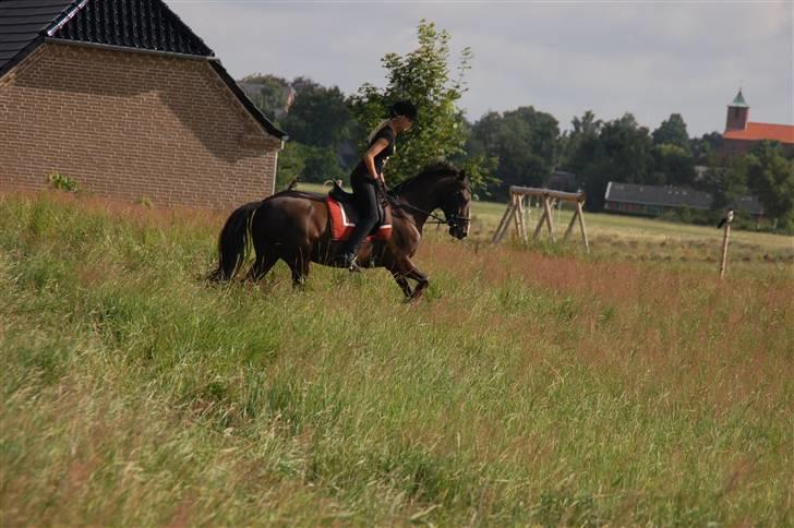 Min lille Banditte<3 billede 50