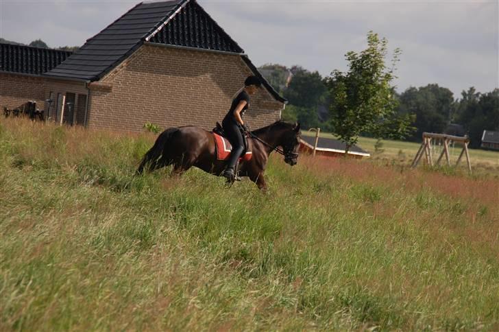 Min lille Banditte<3 billede 51