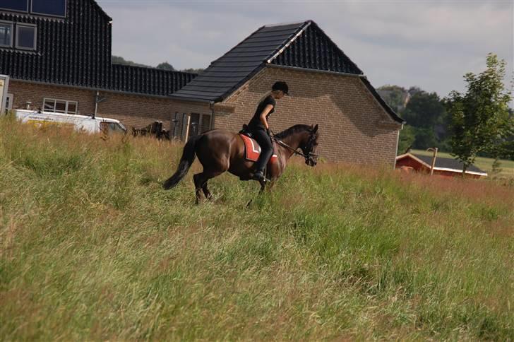 Min lille Banditte<3 billede 52