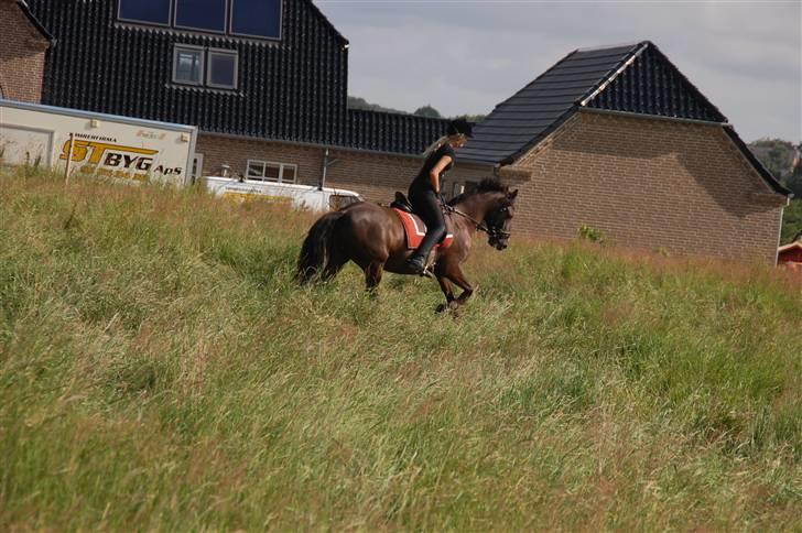 Min lille Banditte<3 billede 53