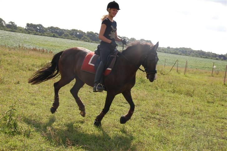 Min lille Banditte<3 billede 54