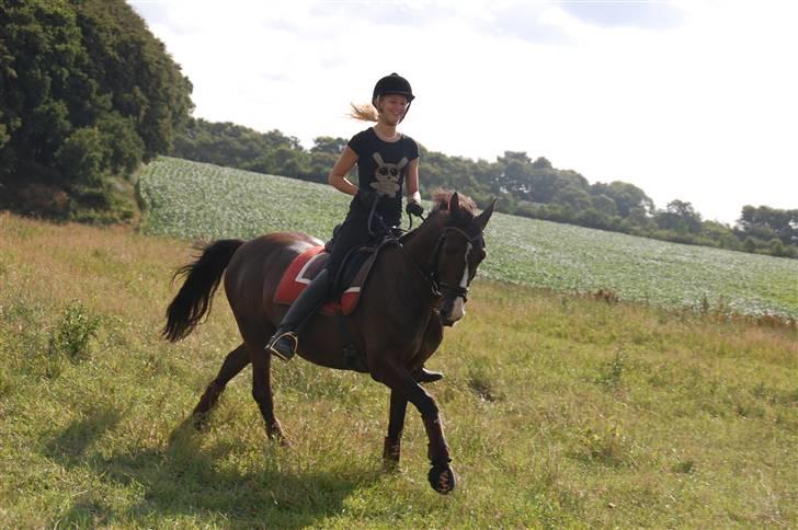 Min lille Banditte<3 billede 56