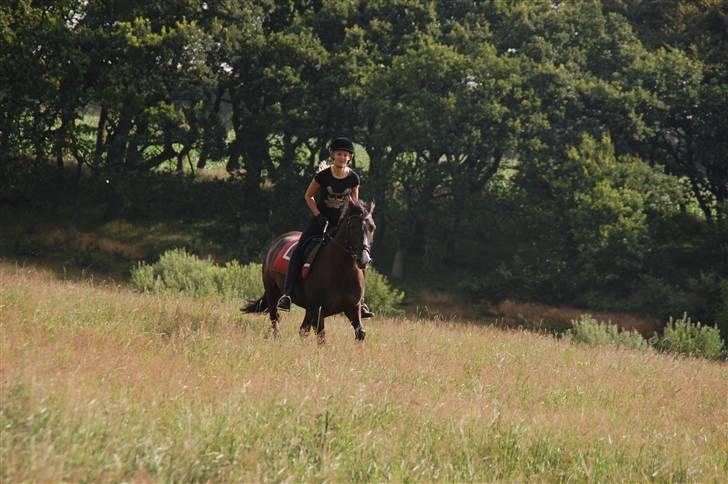 Min lille Banditte<3 billede 61