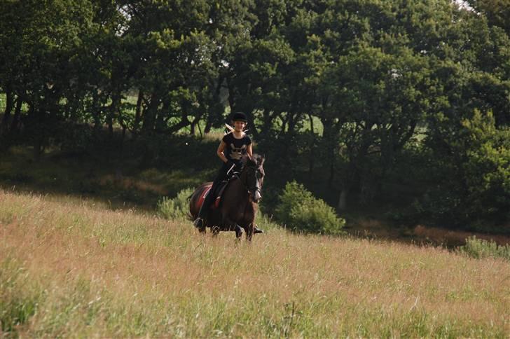 Min lille Banditte<3 billede 62