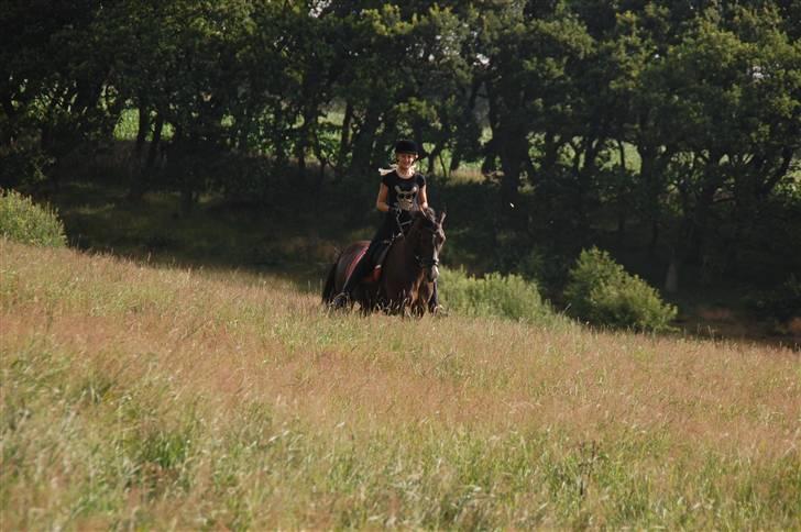 Min lille Banditte<3 billede 63