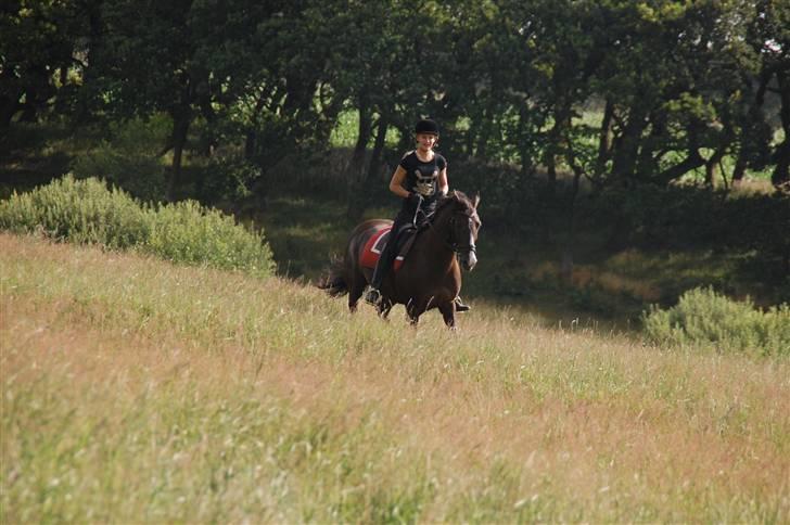 Min lille Banditte<3 billede 65