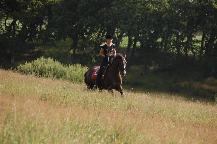 Min lille Banditte<3 billede 66