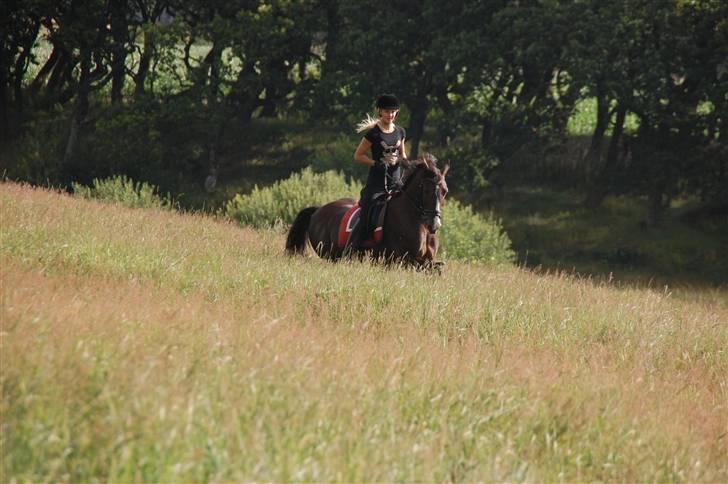 Min lille Banditte<3 billede 67