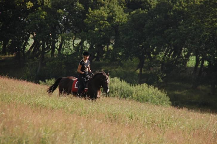 Min lille Banditte<3 billede 68