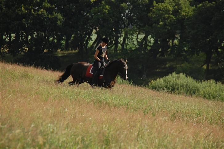 Min lille Banditte<3 billede 69