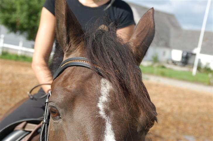 Min lille Banditte<3 billede 75