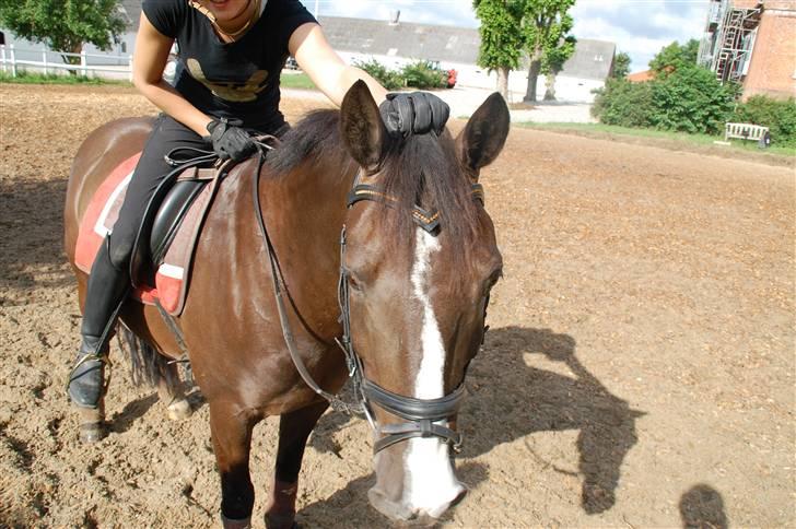 Min lille Banditte<3 billede 78