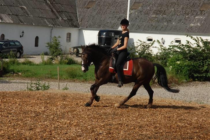 Min lille Banditte<3 billede 79