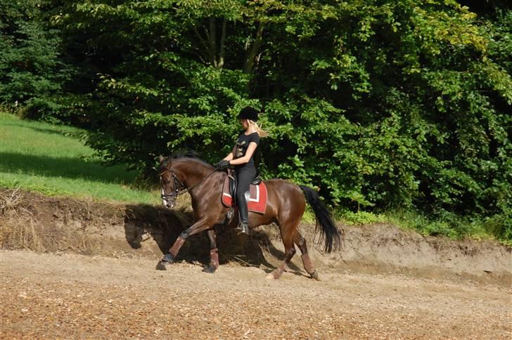 Min lille Banditte<3 billede 82