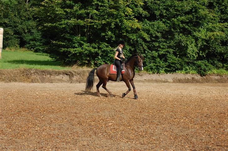 Min lille Banditte<3 billede 84