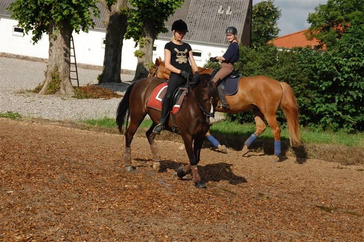 Min lille Banditte<3 billede 87