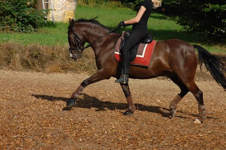 Min lille Banditte<3 billede 88