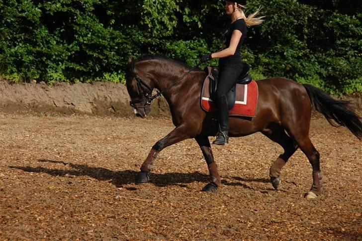 Min lille Banditte<3 billede 90