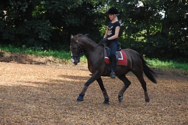 Min lille Banditte<3 billede 91