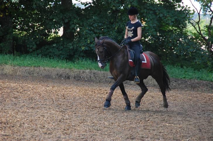 Min lille Banditte<3 billede 92