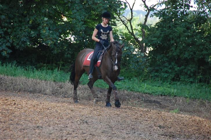 Min lille Banditte<3 billede 93