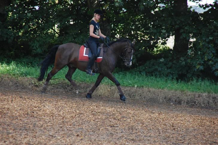 Min lille Banditte<3 billede 95