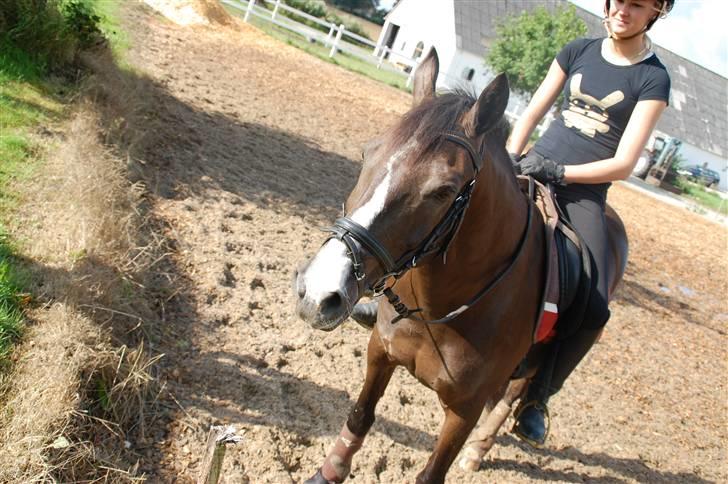 Min lille Banditte<3 billede 97