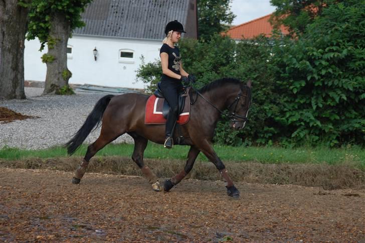 Min lille Banditte<3 billede 99