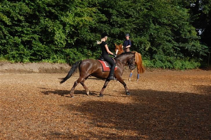 Min lille Banditte<3 billede 100