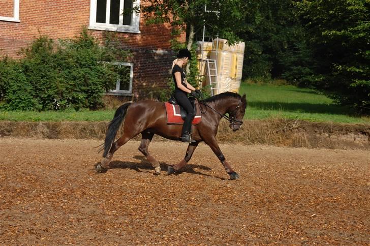 Min lille Banditte<3 billede 101